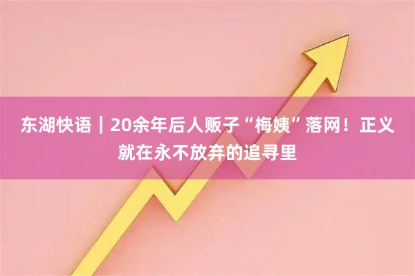东湖快语|20余年后人贩子“梅姨”落网!正义就在永不放弃的追寻里